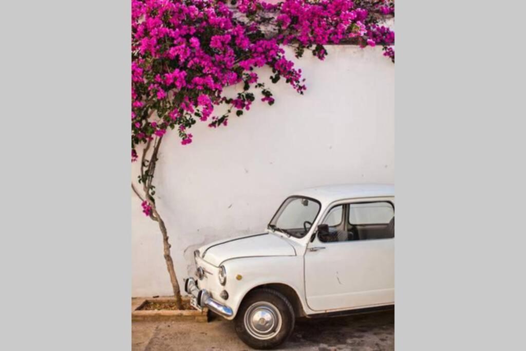 Mojacar Pueblo - Traditional Village House - The Old Jewish Quarter Exterior foto